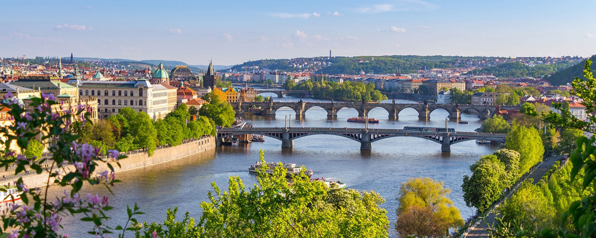Egg Donation in Prague Egg Donation in Prague
